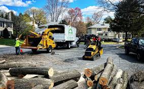 Best Sod Installation  in Fort Recovery, OH